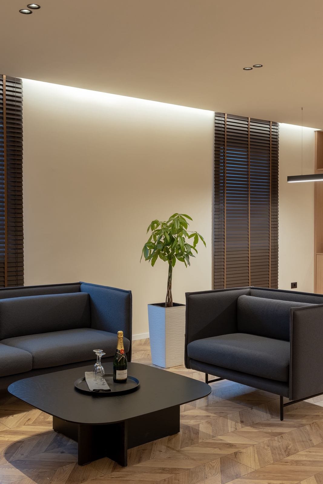 Contemporary living room
